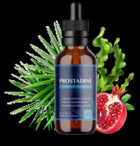 Read more about the article What Are the Long-Term Benefits of Using Prostadine?