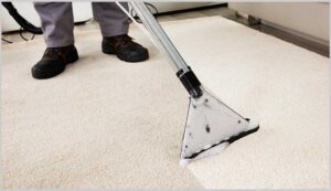 Read more about the article Carpet Cleaning for a Healthier, More Comfortable Living Space