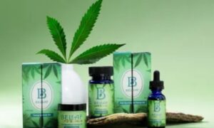 Read more about the article Why Custom CBD Packaging Boxes Are Ideal For Gift Sets